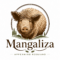 chatgpt image 27 giu 2026, 17 53 52